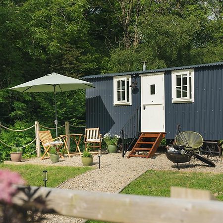 Bedwen Villa Llanarth  Eksteriør billede